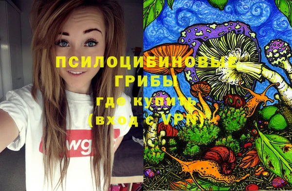 скорость Абинск