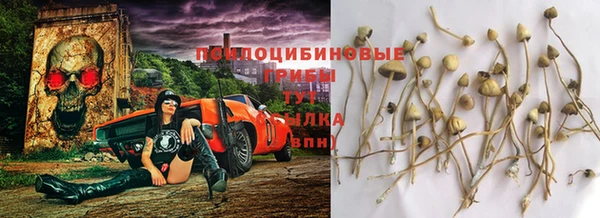 скорость Абинск