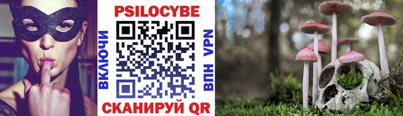 Псилоцибиновые грибы мицелий Моршанск