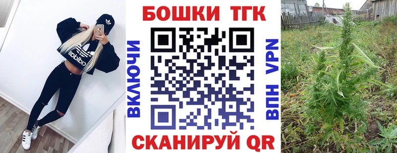 Бошки Шишки гибрид  наркошоп  МЕГА сайт  Моршанск 